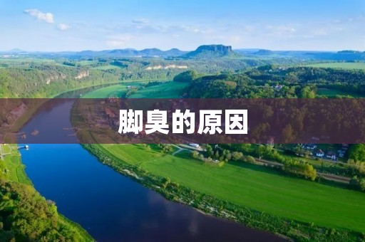 脚臭的原因:了解臭味产生的根源 脚臭的原因:了解臭味产生的根源
