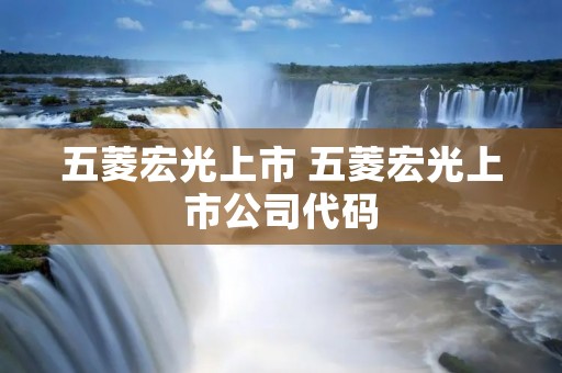 五菱宏光上市 五菱宏光上市公司代码
