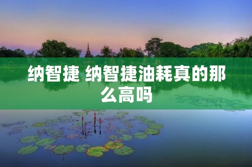 纳智捷 纳智捷油耗真的那么高吗 纳智捷 纳智捷油耗真的那么高吗