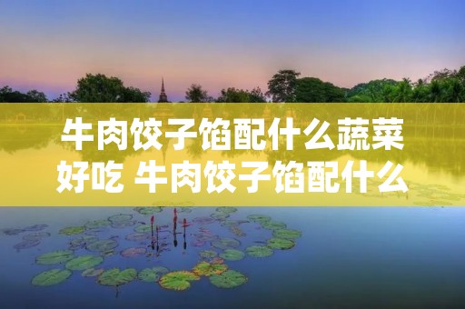 牛肉饺子馅配什么蔬菜好吃 牛肉饺子馅配什么蔬菜好吃放料酒吗