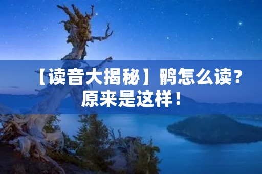 【读音大揭秘】鹘怎么读？原来是这样！