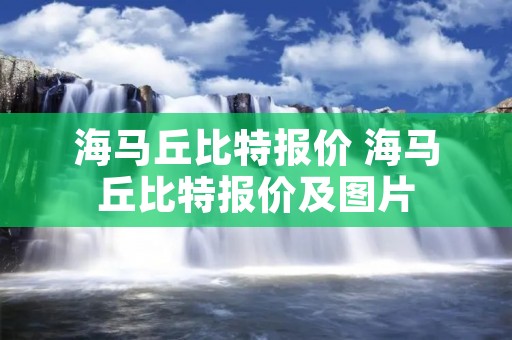 海马丘比特报价 海马丘比特报价及图片