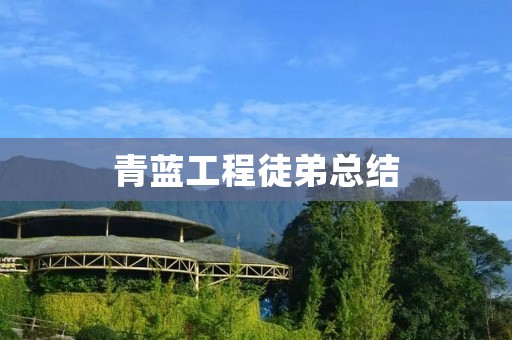 青蓝工程徒弟总结：学习与成长的启示
