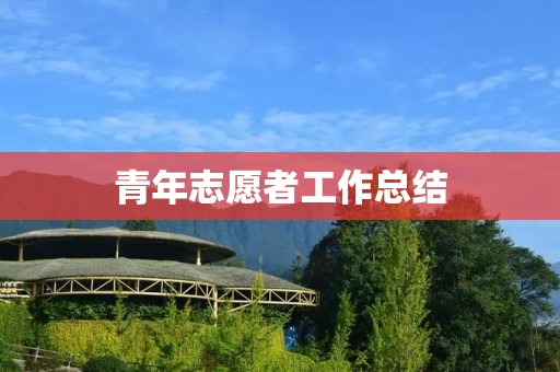 青年志愿者工作总结:用爱心和行动为社会贡献