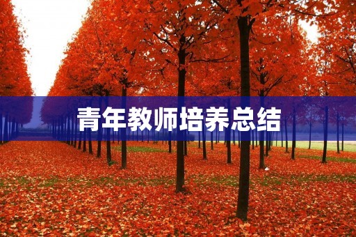 青年教师培养总结:探索与思考