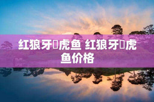 红狼牙鰕虎鱼 红狼牙鰕虎鱼价格 红狼牙鰕虎鱼 红狼牙鰕虎鱼价格