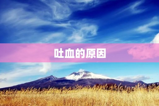 吐血的原因:从身体到心理的多重因素 吐血的原因:从身体到心理的多重因素