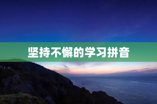 坚持不懈的学习拼音