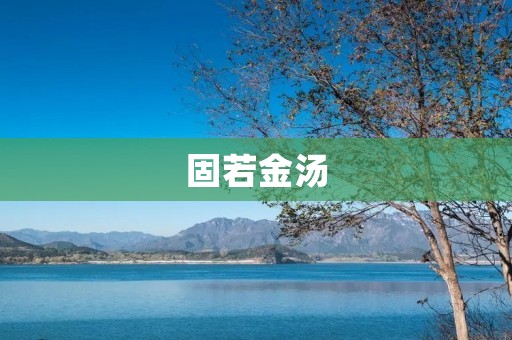 固若金汤：企业如何建立可持续竞争优势
