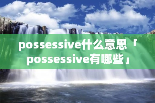 possessive什么意思「possessive有哪些」