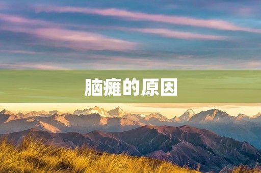 脑瘫的原因:了解这些,才能更好地预防和治疗 脑瘫的原因:了解这些,才能更好地预防和治疗