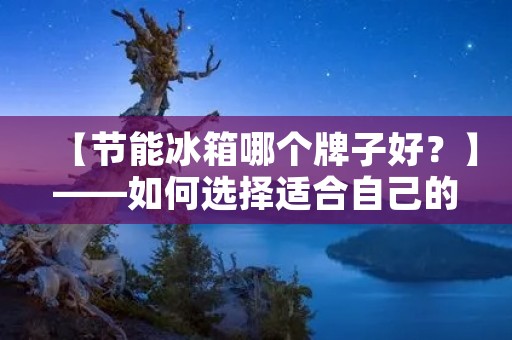 【节能冰箱哪个牌子好？】——如何选择适合自己的节能冰箱