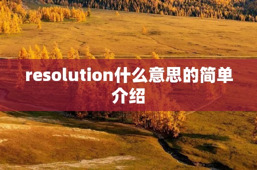 resolution什么意思的简单介绍