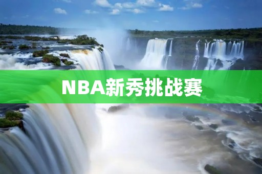 NBA新秀挑战赛：年轻球员的舞台