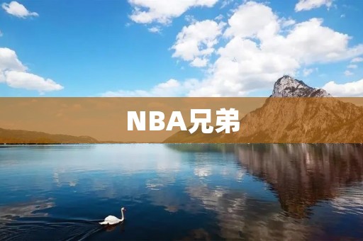 NBA兄弟：探寻联盟中的亲属关系