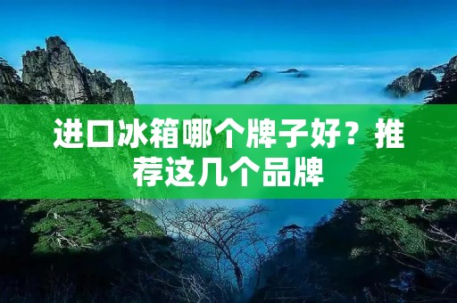 进口冰箱哪个牌子好？推荐这几个品牌