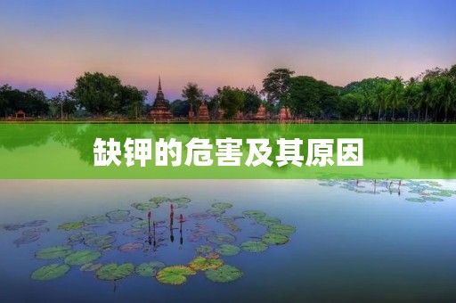 缺钾的危害及其原因
