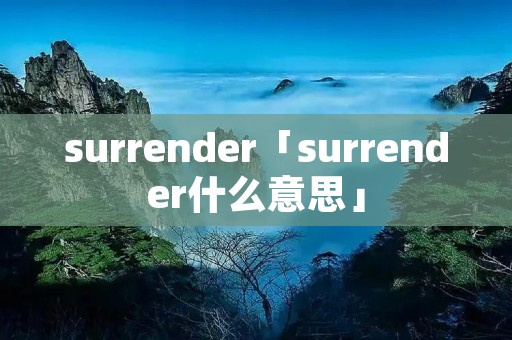 surrender「surrender什么意思」