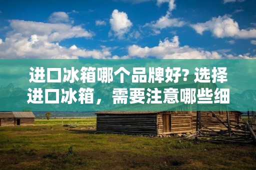进口冰箱哪个品牌好? 选择进口冰箱，需要注意哪些细节？