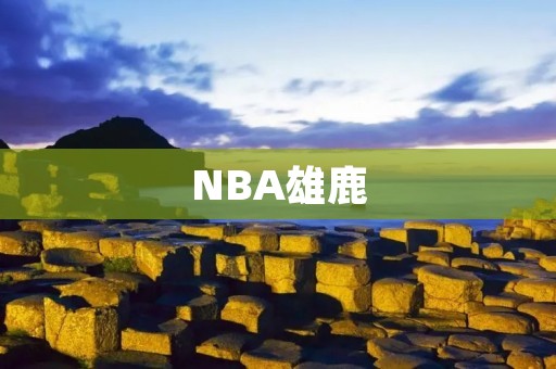 NBA雄鹿：拥有联盟最强阵容的常规赛冠军
