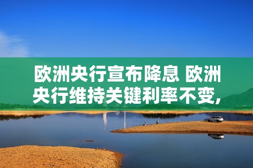 欧洲央行宣布降息 欧洲央行维持关键利率不变,释放降息信号