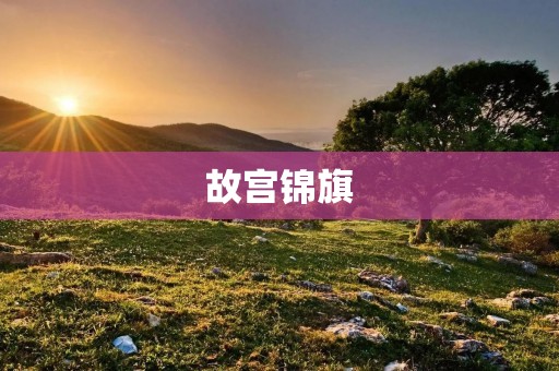 故宫锦旗:一份珍贵的历史遗产 故宫锦旗:一份珍贵的历史遗产