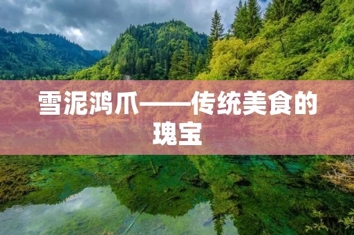 雪泥鸿爪——传统美食的瑰宝