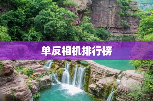 单反相机排行榜:详解市面上最受欢迎的单反相机 单反相机排行榜:详解市面上最受欢迎的单反相机