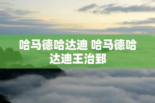 哈马德哈达迪 哈马德哈达迪王治郅
