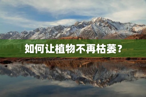 如何让植物不再枯萎?