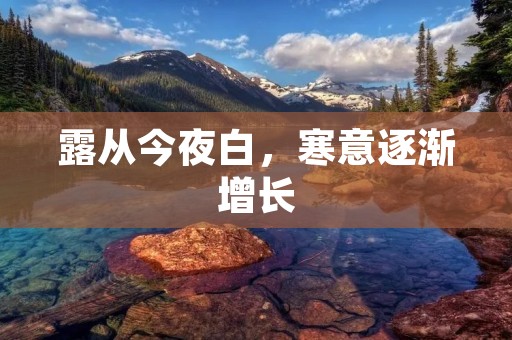 露从今夜白,寒意逐渐增长