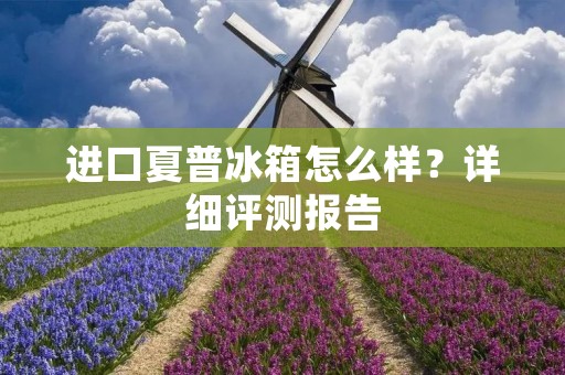 进口夏普冰箱怎么样?详细评测报告 进口夏普冰箱怎么样?详细评测报告