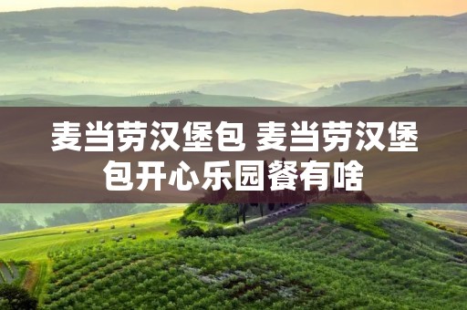 麦当劳汉堡包 麦当劳汉堡包开心乐园餐有啥