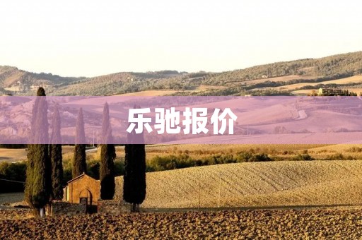 乐驰报价:性价比高的选择 乐驰报价:性价比高的选择