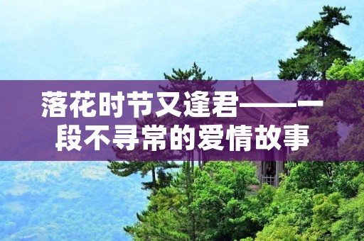 落花时节又逢君——一段不寻常的爱情故事