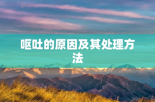 呕吐的原因及其处理方法 呕吐的原因及其处理方法
