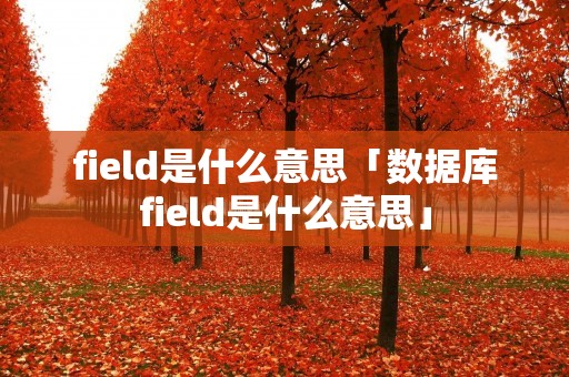 field是什么意思「数据库field是什么意思」