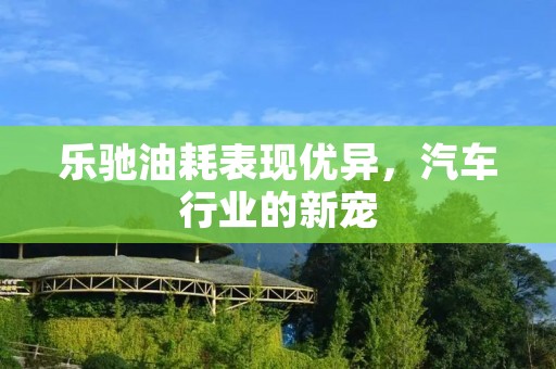 乐驰油耗表现优异，汽车行业的新宠