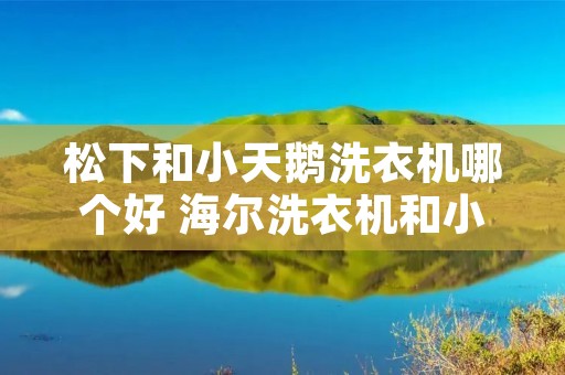 松下和小天鹅洗衣机哪个好 海尔洗衣机和小天鹅洗衣机哪个好