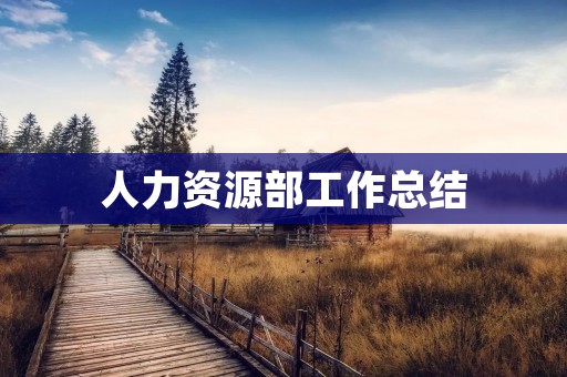 人力资源部工作总结:提升组织效能的不懈努力