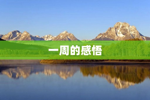 一周的感悟