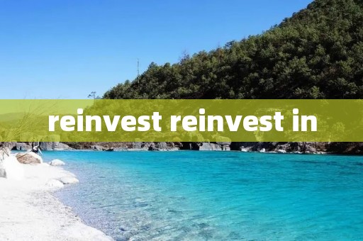 reinvest reinvest in