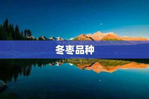 冬枣品种:从树到果的全过程 冬枣品种:从树到果的全过程