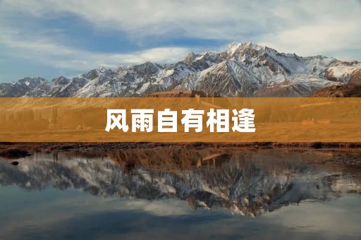 风雨自有相逢：坚定前行的力量