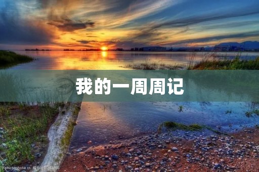 我的一周周记