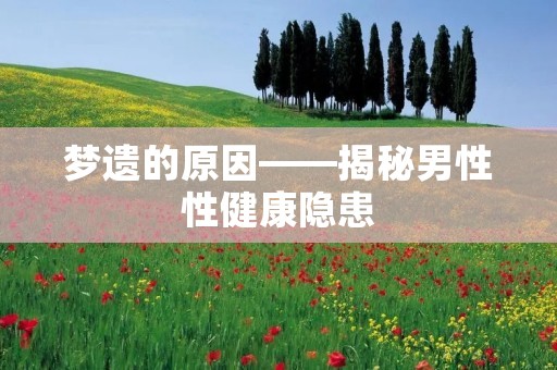 梦遗的原因——揭秘男性性健康隐患