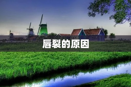 唇裂的原因:遗传、环境因素和药物 唇裂的原因:遗传、环境因素和药物