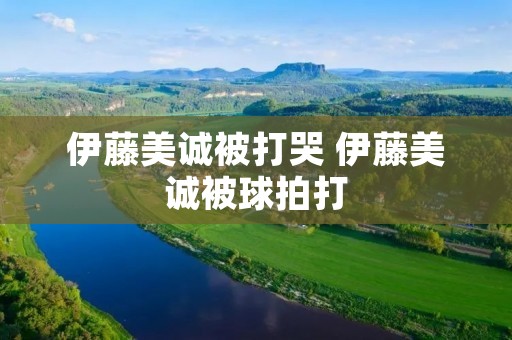 伊藤美诚被打哭 伊藤美诚被球拍打
