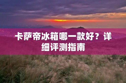 卡萨帝冰箱哪一款好？详细评测指南
