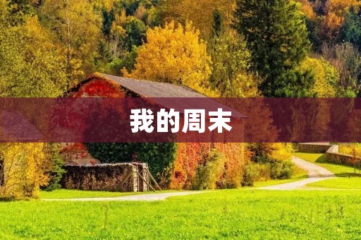 我的周末